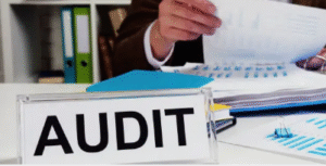NDIS audit support