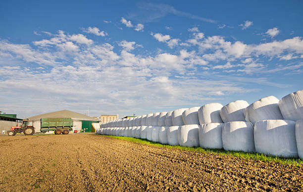 Net Wrap