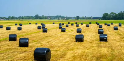 bale wrap