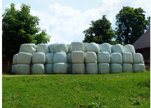silage film